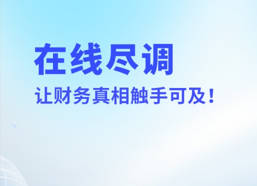 【推荐】财务尽职调查工具，一键解锁财务真相-六盒联盟